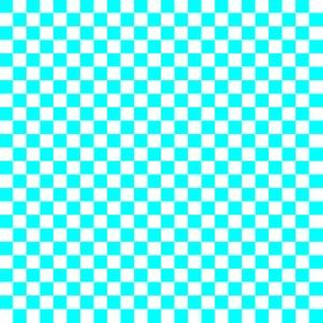 Quarter Inch White and Aqua Blue Checkerboard Squares