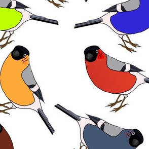 Birds Primary Solid Colors Coordinate with Patterned Designs