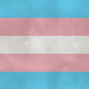 Transgender flag stripes, XL