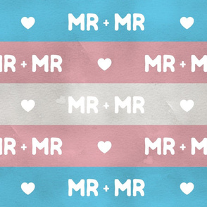 Transgender Mr and Mr, large stripes