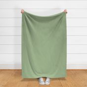 byakuroku fabric -  whitish green fabric, japanese colors fabric, colors of japan, traditional japanese colors fabric