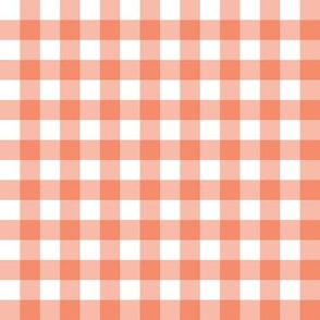 1/2" Gingham Check (country peach + white) // Coordinate in my Farmington collection