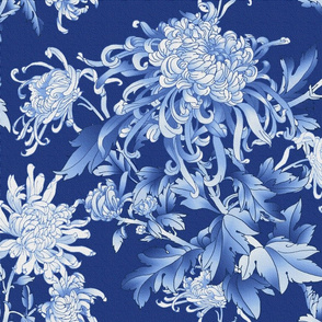 chrysantemum blue
