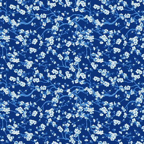 sakura ( blue w)25