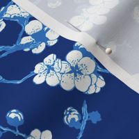sakura ( blue w)50