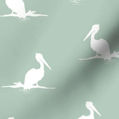 Pelican| Gumleaf Blue Seabird|Renee Davis