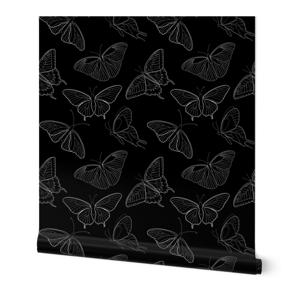 Buttefly Line Art Black White|Renee Davis