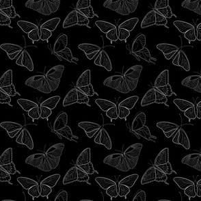 Buttefly Line Art Black White|Renee Davis