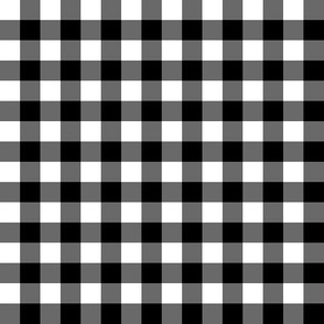 1/2” Gingham Check (black + white)