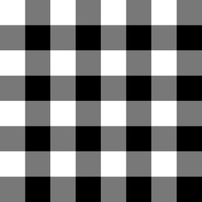 1” Gingham Check (black + white)