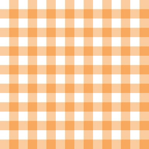 1/2” Gingham Check (butterscotch + white)