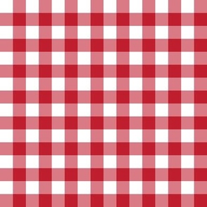 1/2” Gingham Check (red + white)