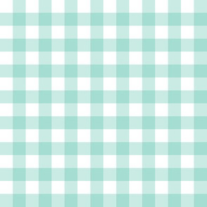 1/2” Gingham Check (mint + white) Joy collection