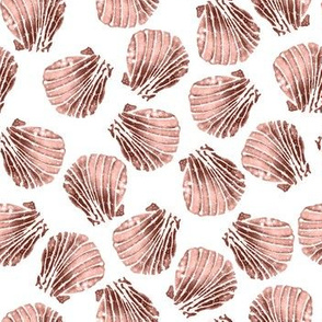 Pastel Pink Seashell on White|Renee Davis