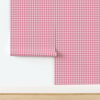 1/2” Gingham Check (watermelon + white)