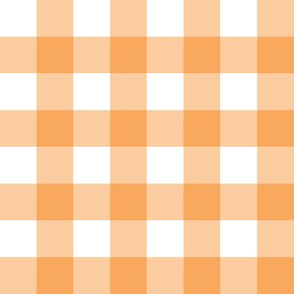 1” Gingham Check (butterscotch + white)