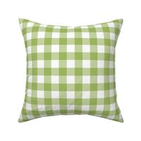 1” Gingham Check (green + white)