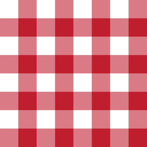 1” Gingham Check (red + white)