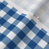 1/2” Gingham Check (classic blue + white)
