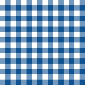 1/2” Gingham Check (classic blue + white)