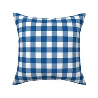 1” Gingham Check (classic blue + white)