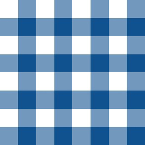 1” Gingham Check (classic blue + white)