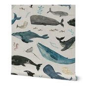 Whale song blue on gray 
