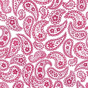 Raspberry Pink 70’s Paisley 8”small