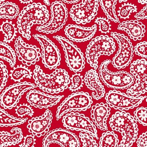 White 70’s Paisley (ruby red) 8” small