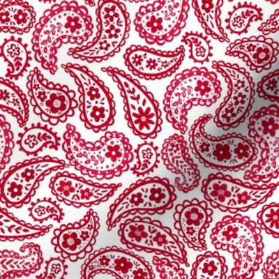 Ruby Red 70’s Paisley 8”