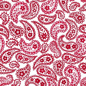 Ruby Red 70’s Paisley 8”