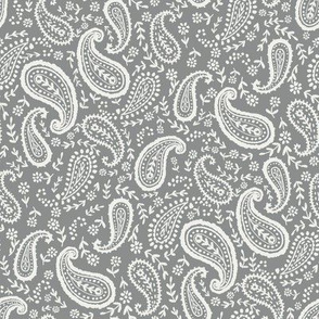 paisley fabric - sfx1501 dove - paisley print, home decor fabric