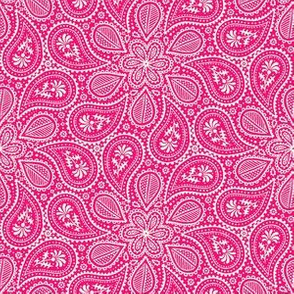 Born in a Candy Wrapper - Paisley - Magenta