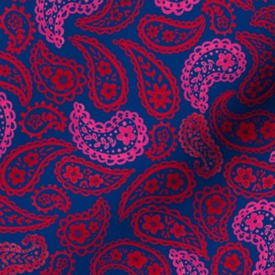 Ruby & Pink 70's Paisley (sapphire blue) 9” medium 