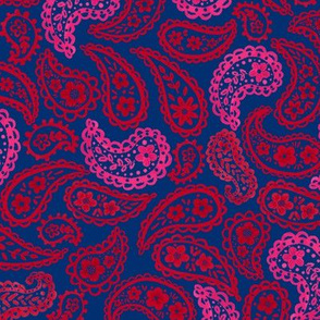 Ruby & Pink 70's Paisley (sapphire blue) 9” medium 