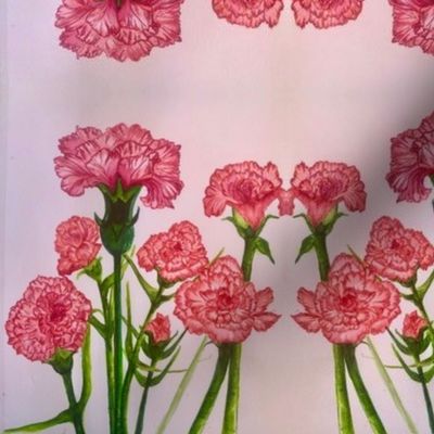 Carnation Mirror