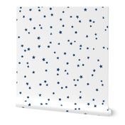 whimsical stars | navy stars on white