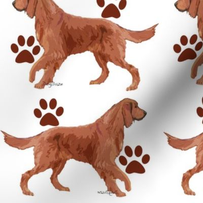 Irish Setter Paws