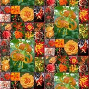 orange rose and turkish turban  in autumn floral  mosaic