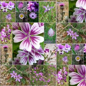 violet wildflowers floral mosaic