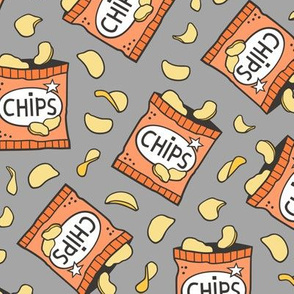 Potato Chips Fast Food Orange on Grey