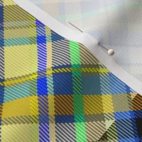 Checkerboard Madras Plaid in Yellow Blue and Green