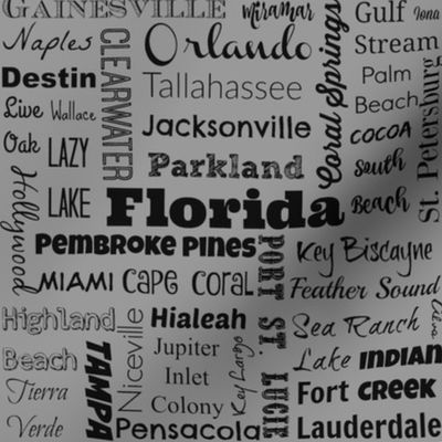 Cities of Florida, std gray