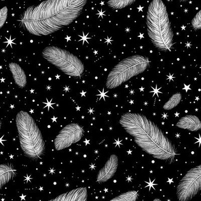 Feathers and Stars Black
