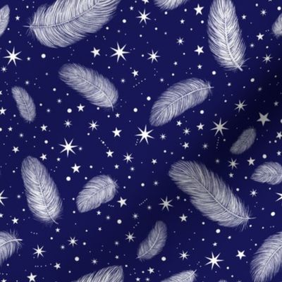 Feathers and Stars Nav
