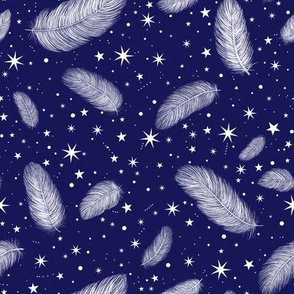 Feathers and Stars Nav