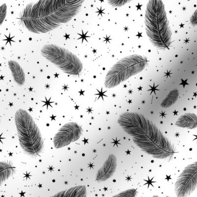 Feathers and Stars Black on Wh