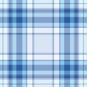 bluejayplaid