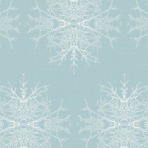 Scandi Snowflake Twigburst Spa Blue and White