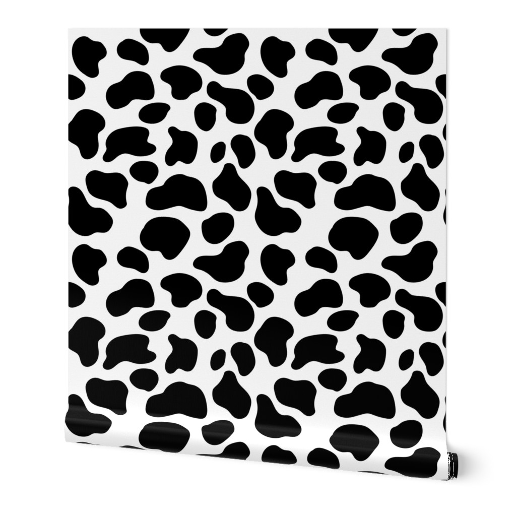 Holstein cow - dairy cow - cow spots -  LAD20